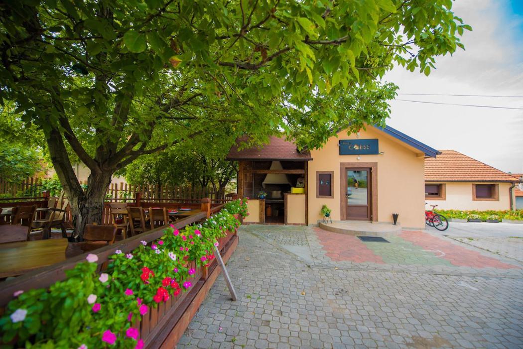 Vila Chess Bed & Breakfast Белград Екстериор снимка